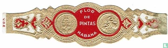 Flor de Pintas Habana - Afbeelding 1