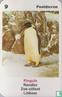 Pinguin - Image 1