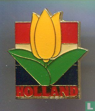 Tulp Holland