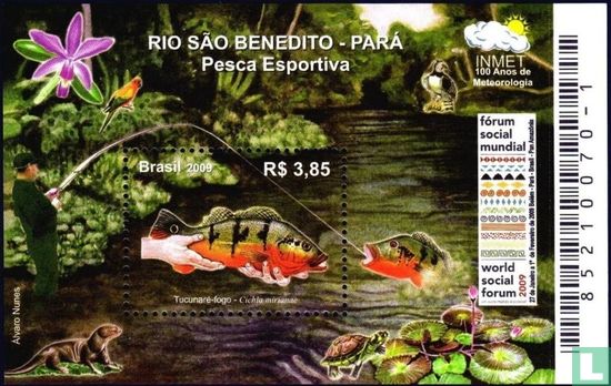 Sao Benedito river