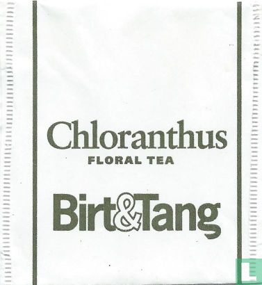 Chloranthus - Image 1