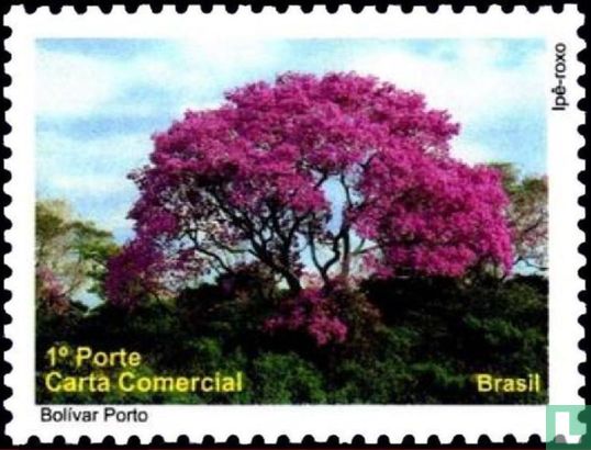 Flora en Fauna van de Pantanal
