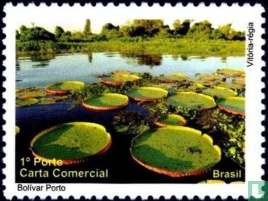 Flora en Fauna van de Pantanal