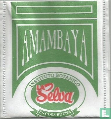 Amambaya - Afbeelding 1