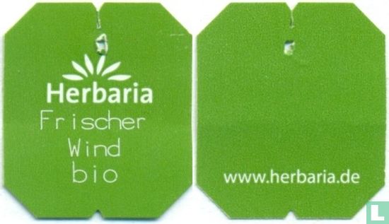 Frischer Wind - Image 3