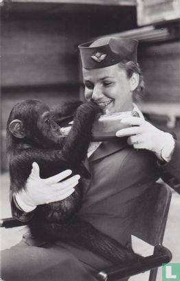 KLM Stewardess met aapje - Image 1