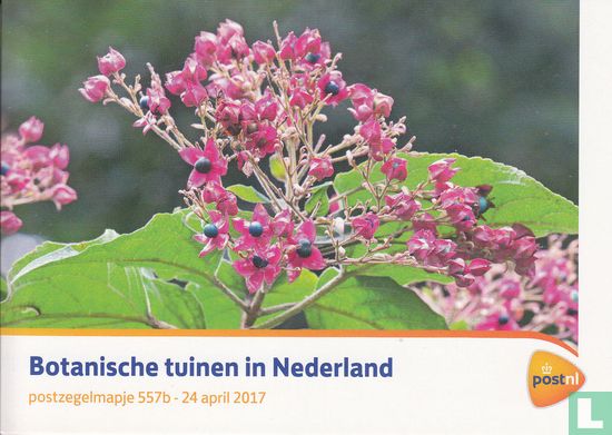 Botanischer Garten in Niederlande  - Bild 1