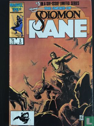 The Sword of Solomon Kane 5 - Afbeelding 1