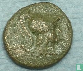 Seleucid Empire  AE11  (Seleucus II)  246-226 v - Afbeelding 1