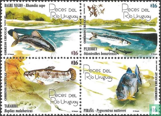 Fish of the Río Uruguay