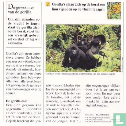 Wilde dieren: Waarom slaan gorilla's zich op de borst? - Image 2