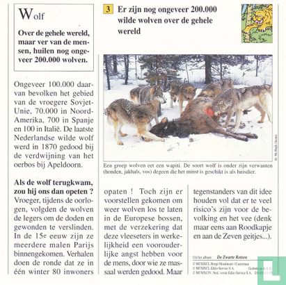 Wilde dieren: Bestaan er nog wilde wolven? - Image 2