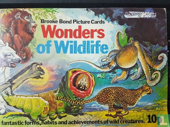 Wonders Of Wildlife - Image 1