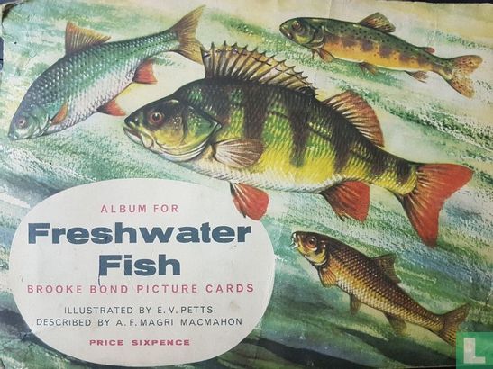 Freshwater Fish - Afbeelding 1