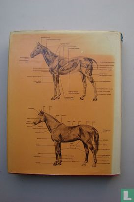 The encyclopedia of the horse - Afbeelding 2