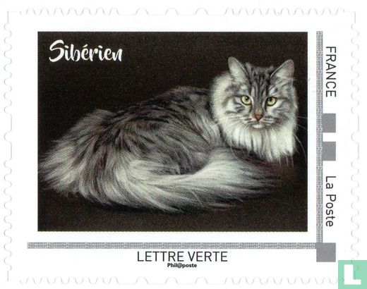 Cats of Continental Europe