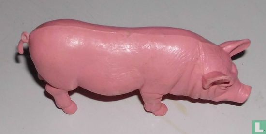 Schwein - Bild 2