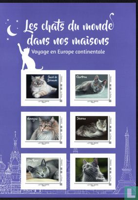 Cats of the world in our homes - Image 1