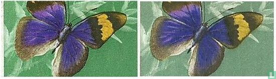 Schmetterlinge  - Bild 2