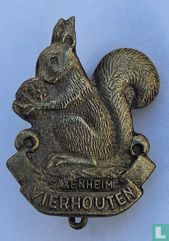 Saxenheim Vierhouten (eekhoorn type 2)