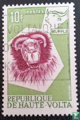 African buffalo Mask