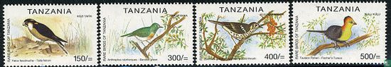 Oiseaux