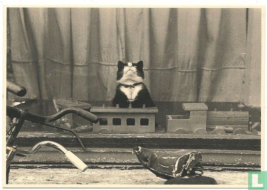 Tom Cat (B18) - Bild 1