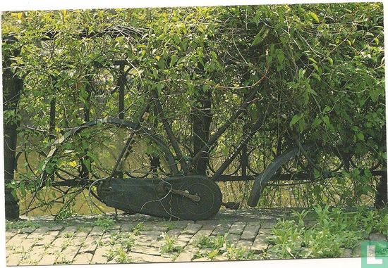 Green bicycle (088) - Image 1