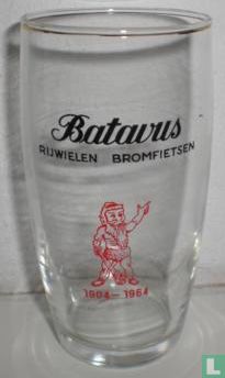 Batavus Rijwielen Bromfietsen 1904-1964