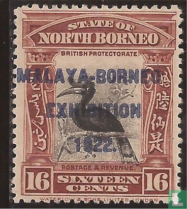Rhinoceros hornbill