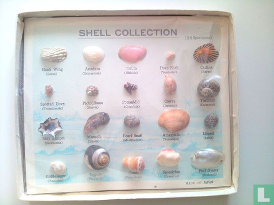  Vintage Shell Collection schelpen - Afbeelding 1