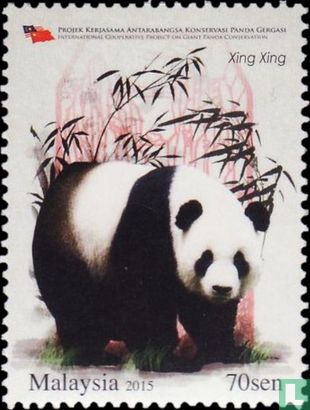 Conservation of the giant panda