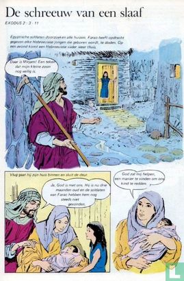 De bijbel in beeld 3 - Image 3