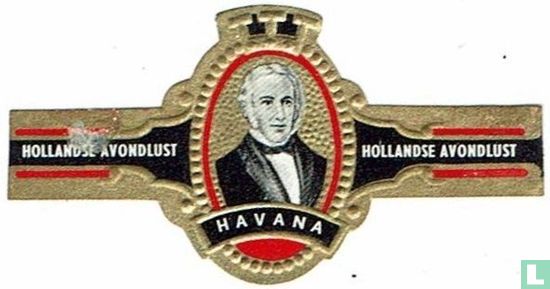 Havanna-Holländer holländische Abend Abend Lust-lust - Bild 1