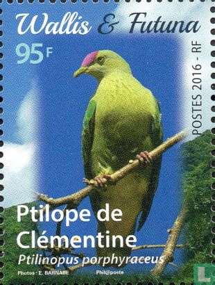 Wallis en Futuna of Birds   