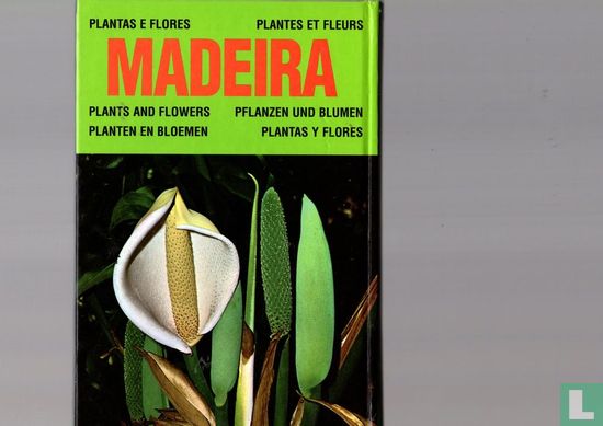 Madeira plantas e flores - Afbeelding 2