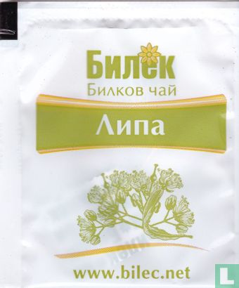 Linden flower - Image 1