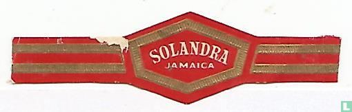 Solandra Jamaica - Afbeelding 1