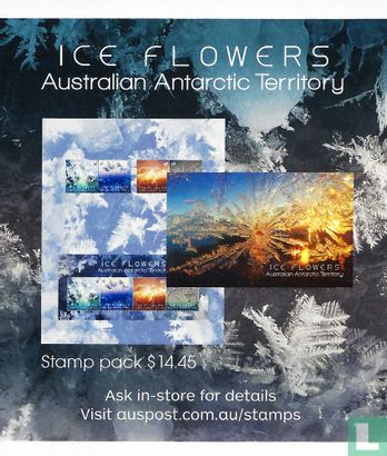 Iceflowers - Image 2