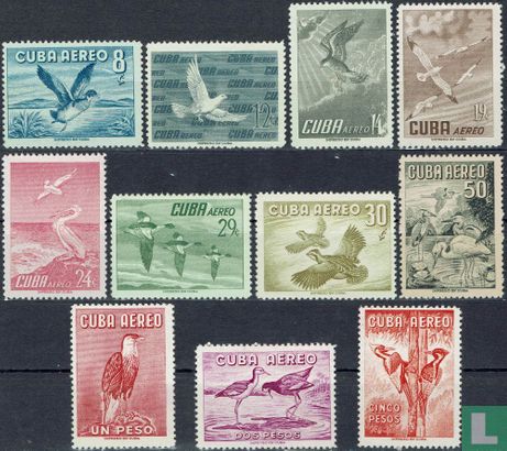 Birds