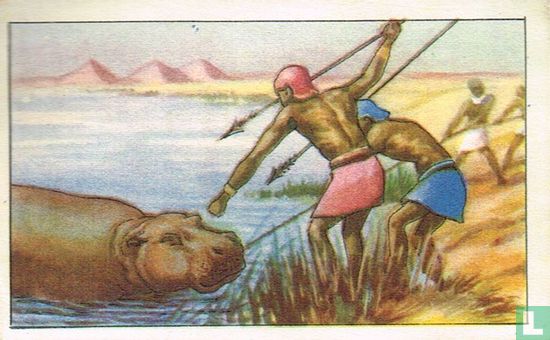 Jacht op het nijlpaard in het Oud-Egypte - Image 1