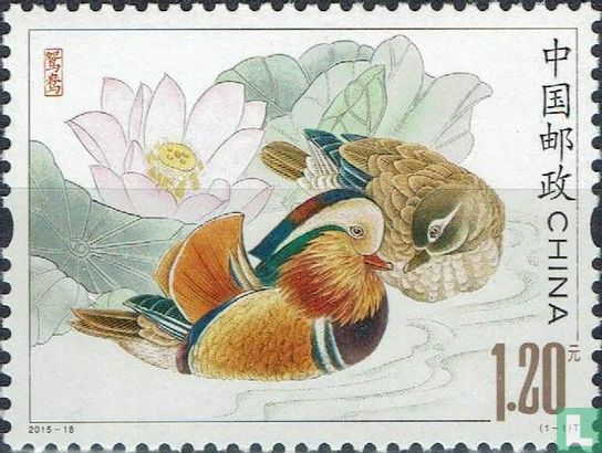 Canard mandarin