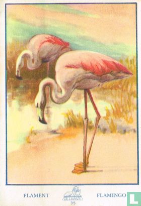 Flament - Flamingo