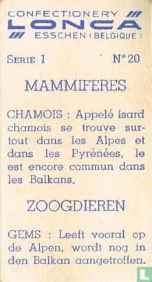 Gems - Bild 2