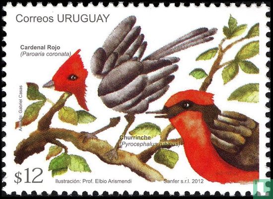 Birds
