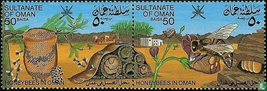 Honingbijen  