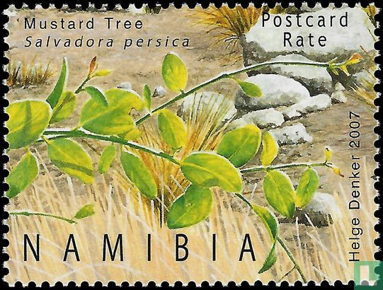 Centenary of Etosha National Park
