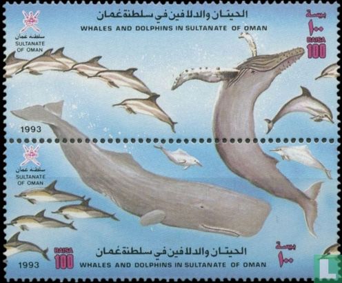 Walvissen en Dolfijnen