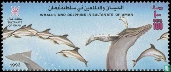 Walvissen en Dolfijnen 