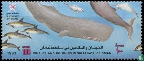 Walvissen en Dolfijnen  